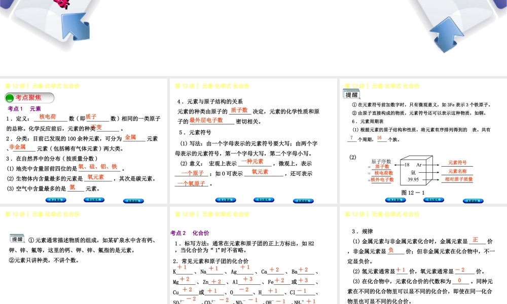 （河北专版）中考化学复习 第12课时 元素化学式 化合价课件-人教版初中九年级全册化学课件