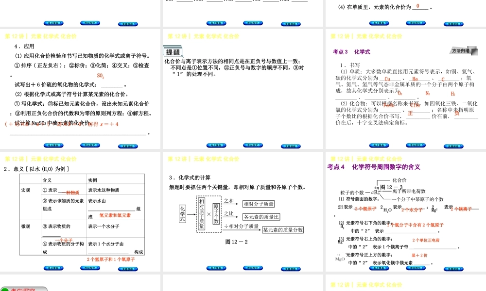 （河北专版）中考化学复习 第12课时 元素化学式 化合价课件-人教版初中九年级全册化学课件