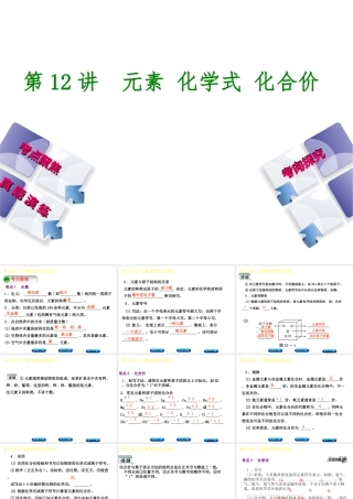 （河北专版）中考化学复习 第12课时 元素化学式 化合价课件-人教版初中九年级全册化学课件