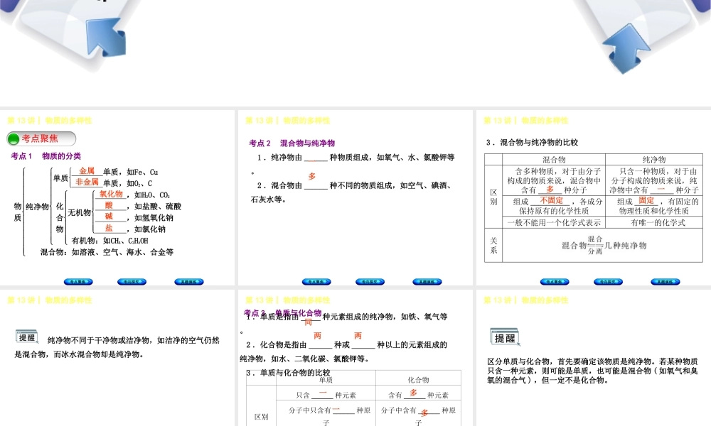 （河北专版）中考化学复习 第13课时 物质的多样性课件-人教版初中九年级全册化学课件