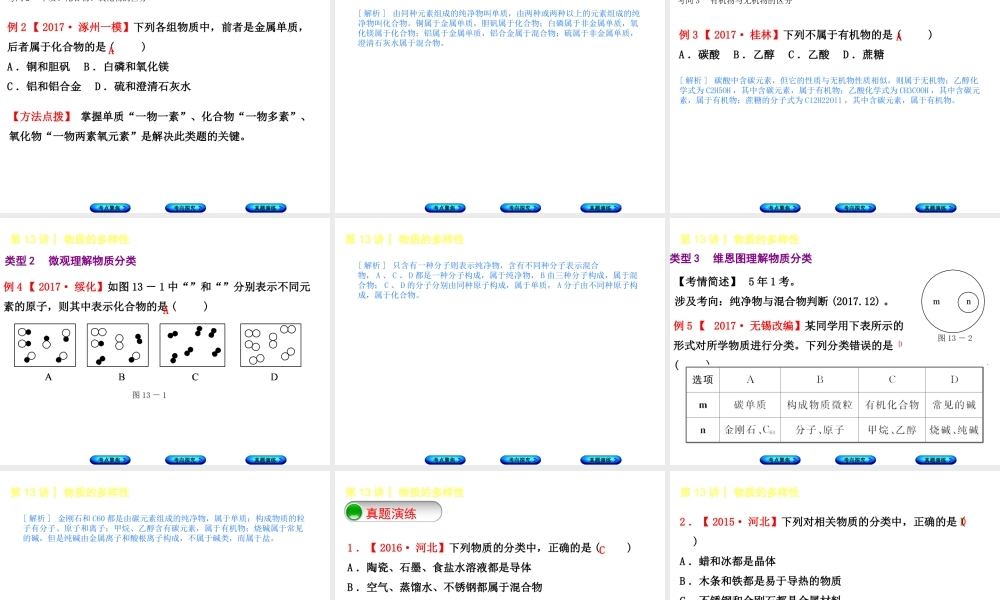 （河北专版）中考化学复习 第13课时 物质的多样性课件-人教版初中九年级全册化学课件