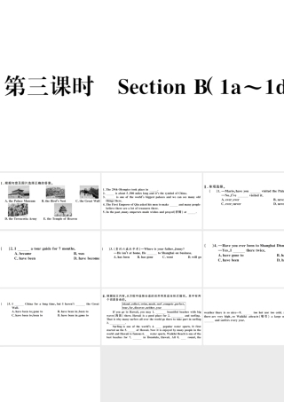 （河南专版）八年级英语下册 Unit 9 Have you ever been to a museum第三课时习题课件（新版）人教新目标版-（新版）人教新目标版初中八年级下册英语课件
