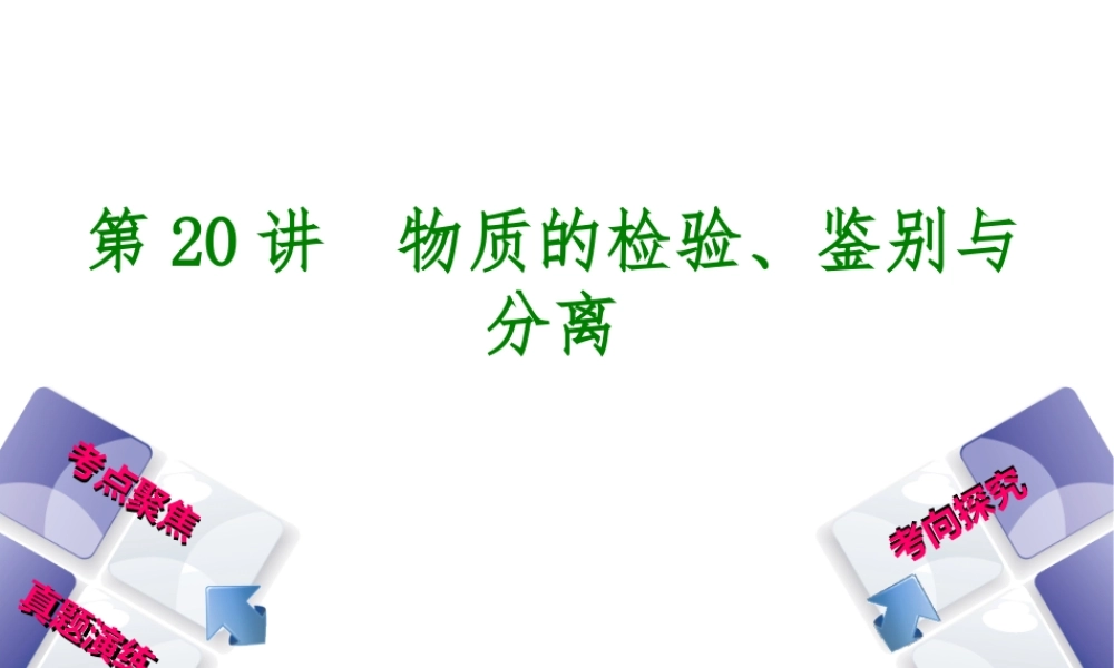 （河北专版）中考化学复习 第20课时 物质的检验、鉴别与分离课件-人教版初中九年级全册化学课件