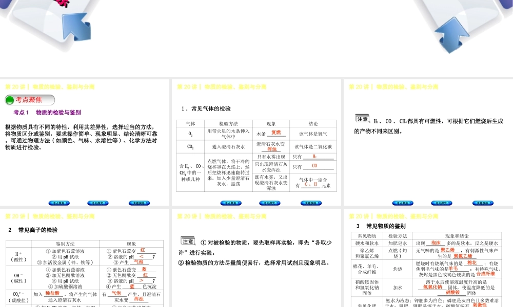 （河北专版）中考化学复习 第20课时 物质的检验、鉴别与分离课件-人教版初中九年级全册化学课件