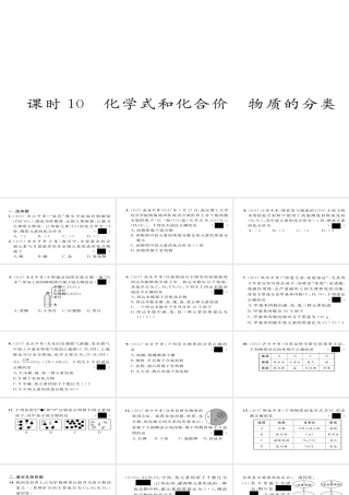 （河北专版）中考化学复习 第一编 教材知识梳理篇 模块二 物质构成的奥秘 课时10 化学式和化合价 物质的分类课件-人教版初中九年级全册化学课件