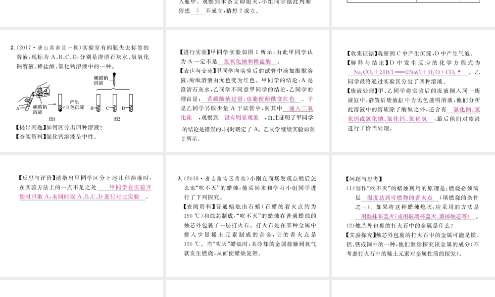 （河北专版）中考化学复习 题型复习（四）实验探究题 题型之二 物质性质的探究课件-人教版初中九年级全册化学课件