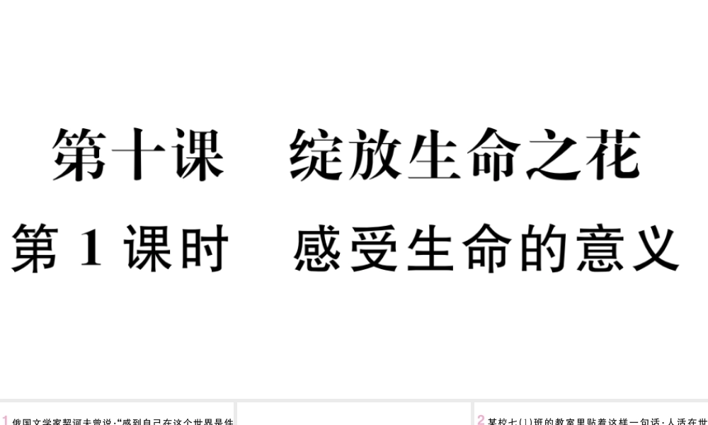 （河南专版）七年级道德与法治上册 第四单元 生命的思考 第十课 绽放生命之花 第1课时 感受生命的意义课件 新人教版-新人教版初中七年级上册政治课件