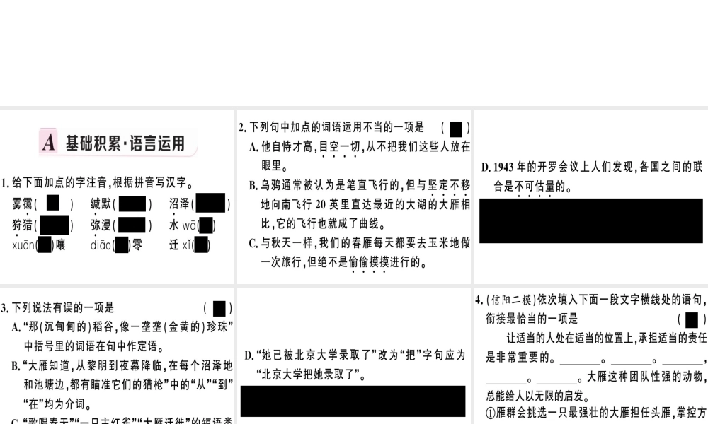 （河南专版）春八年级语文下册 第二单元 7 大雁归来习题课件 新人教版-新人教版初中八年级下册语文课件