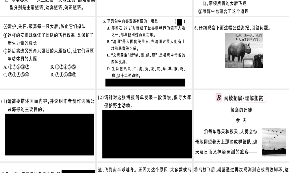 （河南专版）春八年级语文下册 第二单元 7 大雁归来习题课件 新人教版-新人教版初中八年级下册语文课件