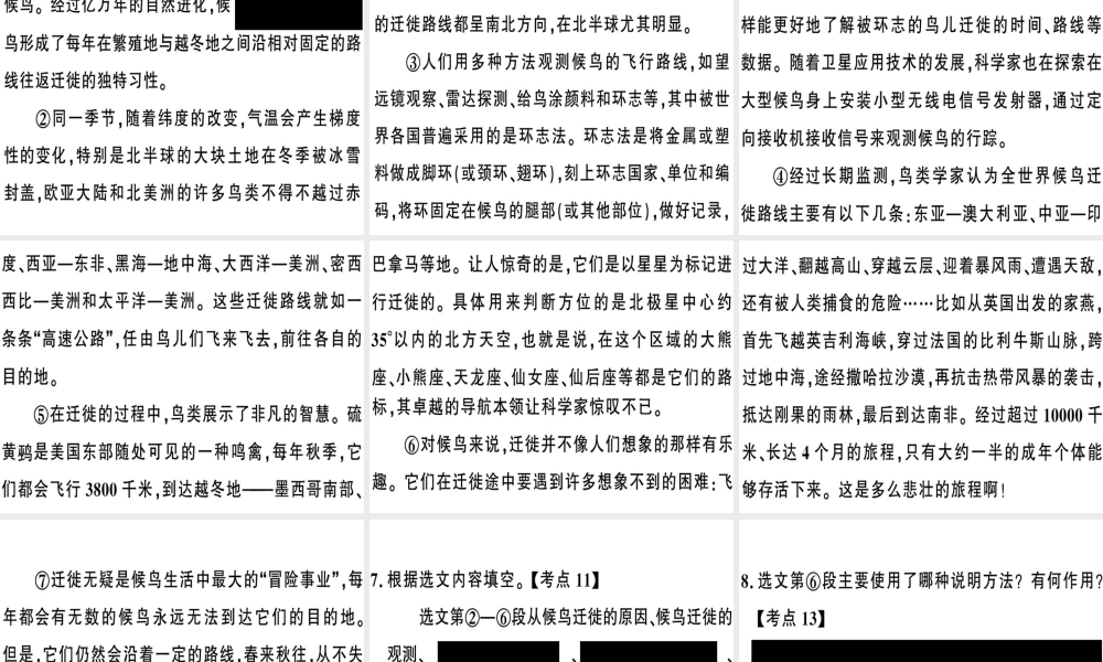 （河南专版）春八年级语文下册 第二单元 7 大雁归来习题课件 新人教版-新人教版初中八年级下册语文课件
