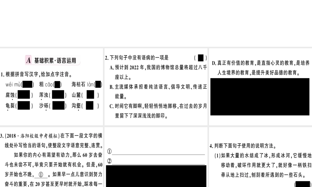 （河南专版）春八年级语文下册 第二单元 8 时间的脚印习题课件 新人教版-新人教版初中八年级下册语文课件