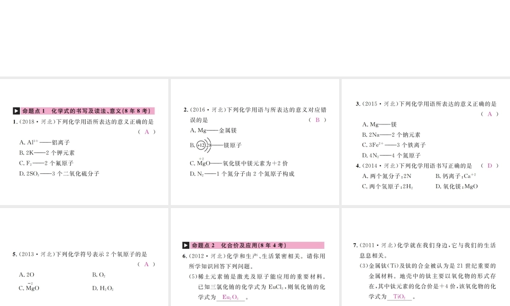 （河北专版）中考化学复习 主题二 物质构成的奥秘 第11讲 化学式与化合价课件-人教版初中九年级全册化学课件