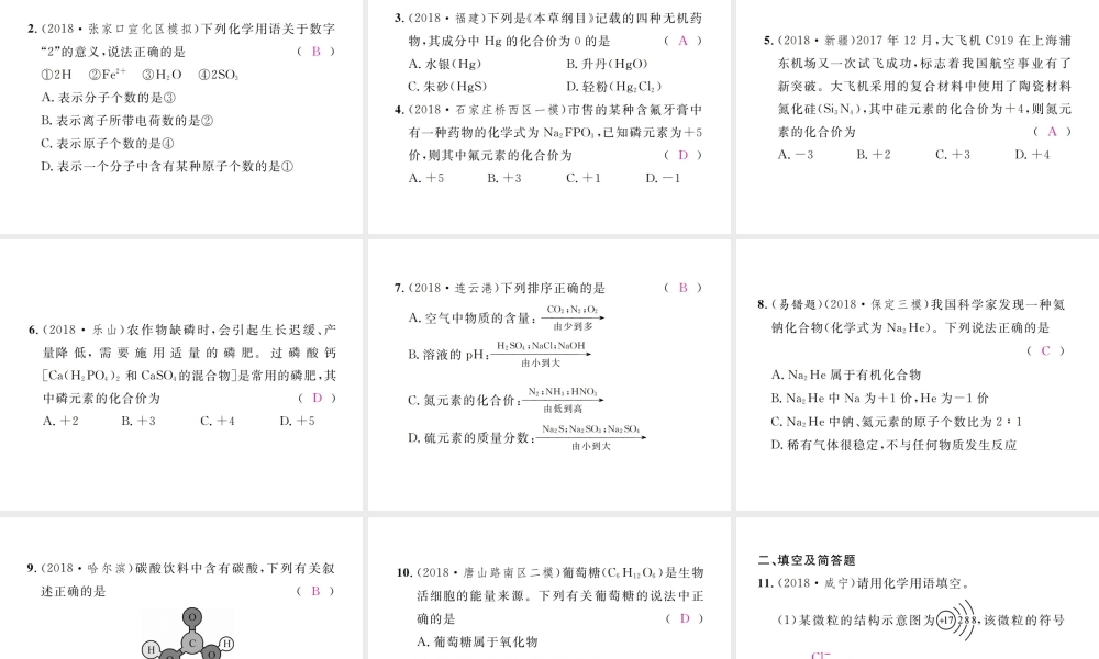 （河北专版）中考化学复习 主题二 物质构成的奥秘 第11讲 化学式与化合价课件-人教版初中九年级全册化学课件