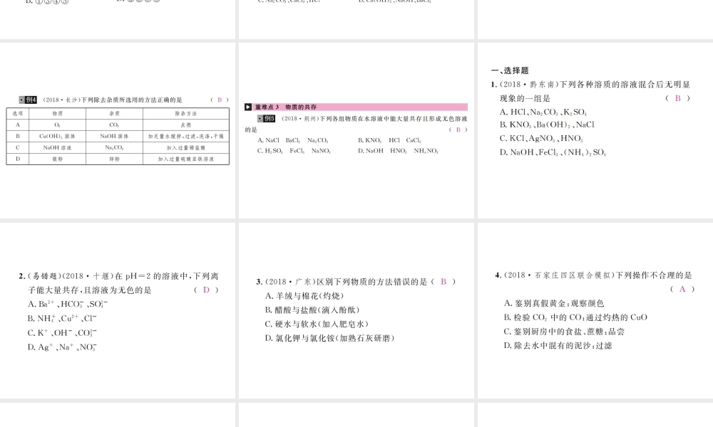（河北专版）中考化学复习 主题五 科学探究 第18讲 物质的检验、鉴别与除杂课件-人教版初中九年级全册化学课件