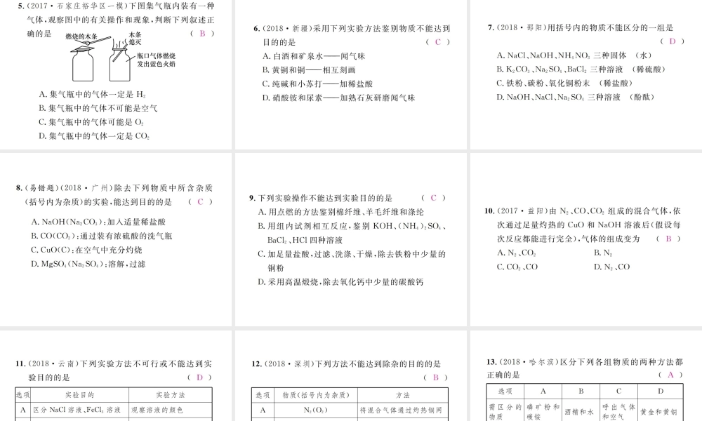 （河北专版）中考化学复习 主题五 科学探究 第18讲 物质的检验、鉴别与除杂课件-人教版初中九年级全册化学课件