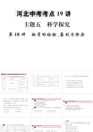 （河北专版）中考化学复习 主题五 科学探究 第18讲 物质的检验、鉴别与除杂课件-人教版初中九年级全册化学课件