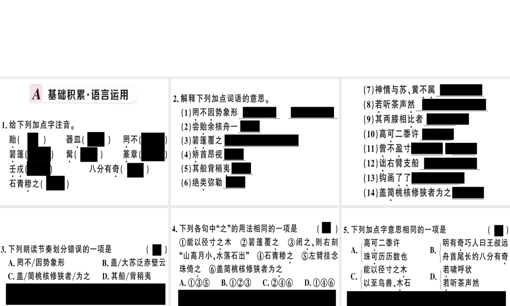 （河南专版）春八年级语文下册 第三单元 11 核舟记习题课件 新人教版-新人教版初中八年级下册语文课件