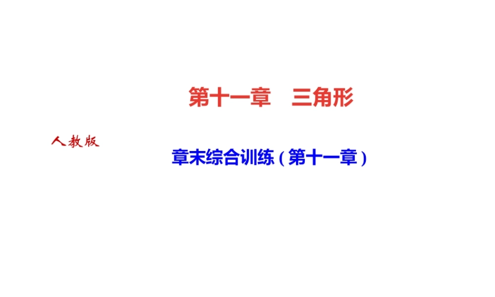 （河北专版）秋八年级数学上册 第十一章 三角形章末综合训练作业课件 （新版）新人教版-（新版）新人教版初中八年级上册数学课件