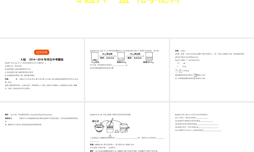 （河北专版）中考化学复习 专题六 盐 化学肥料（试卷部分）课件-人教版初中九年级全册化学课件