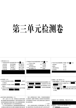 （河南专版）春八年级语文下册 第三单元检测卷习题课件 新人教版-新人教版初中八年级下册语文课件