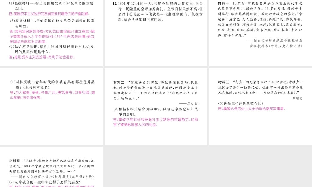 （河北专版）中考历史总复习 第13讲 欧美主要国家的社会巨变考点攻关练课件-人教版初中九年级全册历史课件