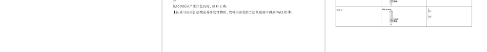 （河北专版）中考化学复习 专题十九 实验探究题（试卷部分）课件-人教版初中九年级全册化学课件