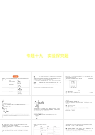 （河北专版）中考化学复习 专题十九 实验探究题（试卷部分）课件-人教版初中九年级全册化学课件