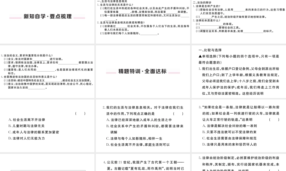 （河南专版）七年级道德与法治下册 第四单元 走进法治天地 第九课 法律在我们身边 第1框 生活需要法律习题课件 新人教版-新人教版初中七年级下册政治课件