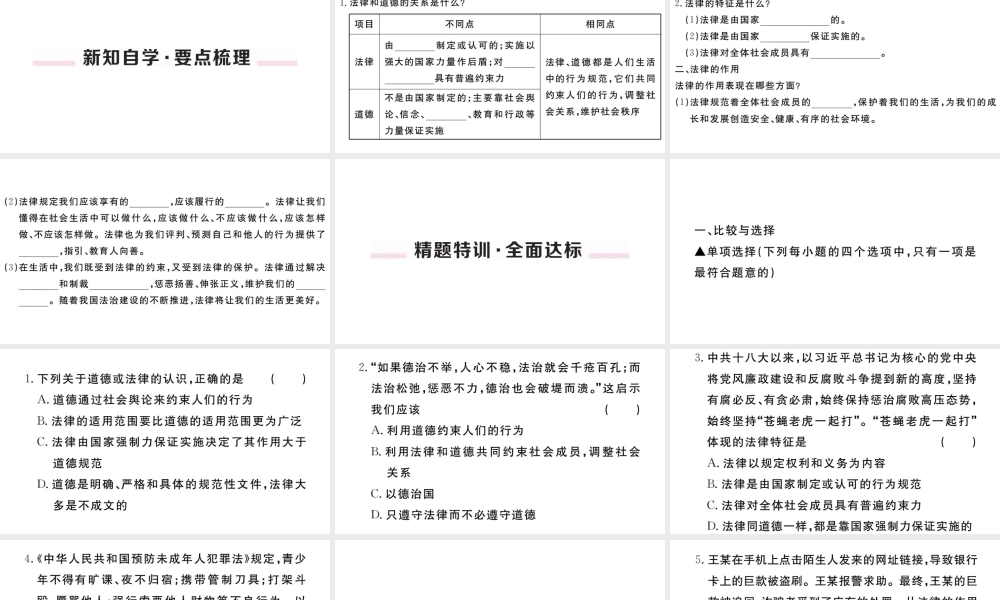 （河南专版）七年级道德与法治下册 第四单元 走进法治天地 第九课 法律在我们身边 第2框 法律保障生活习题课件 新人教版-新人教版初中七年级下册政治课件