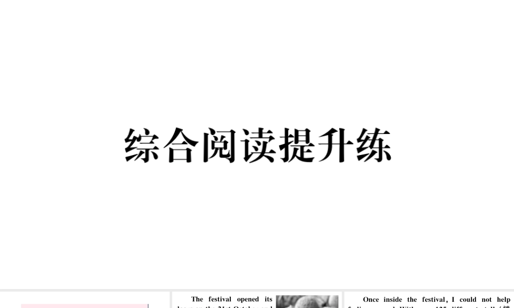 （河北专版）秋九年级英语全册 Unit 2 I think that mooncakes are delicious综合阅读提升练习题课件（新版）人教新目标版-（新版）人教新目标版初中九年级全册英语课件