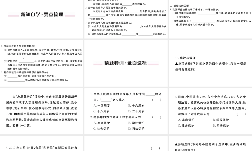 （河南专版）七年级道德与法治下册 第四单元 走进法治天地 第十课 法律伴我们成长 第1框 法律为我们护航习题课件 新人教版-新人教版初中七年级下册政治课件