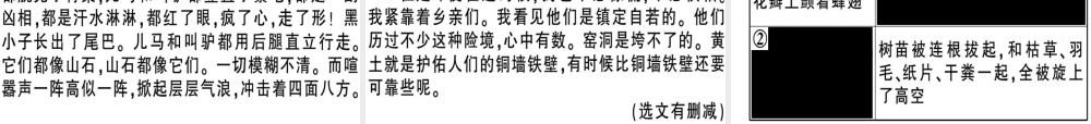 （河南专版）春八年级语文下册 第一单元 3 安塞腰鼓习题课件 新人教版-新人教版初中八年级下册语文课件