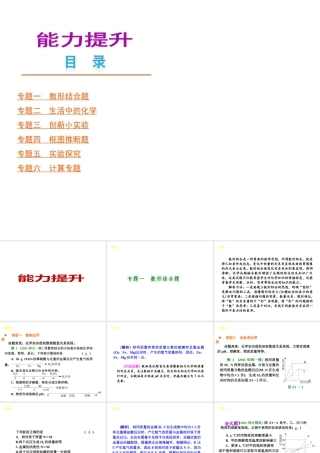 （河北专版）中考化学教材化总复习 能力提升课件 冀教版