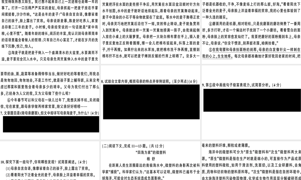 （河南专版）春八年级语文下册 期末检测卷习题课件 新人教版-新人教版初中八年级下册语文课件