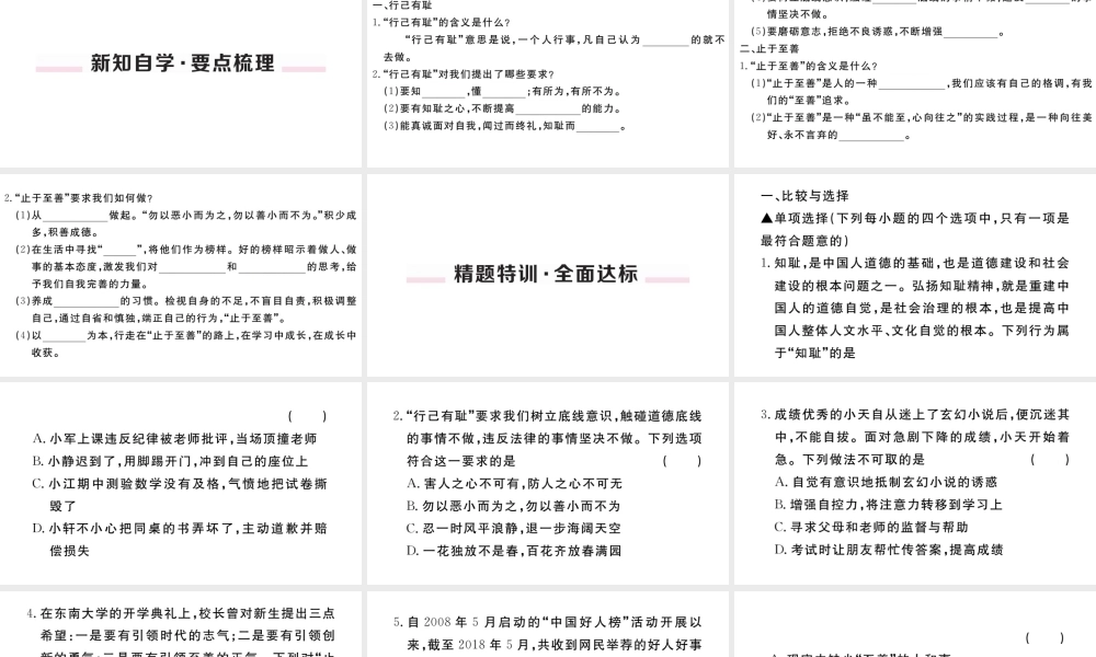 （河南专版）七年级道德与法治下册 第一单元 青春时光 第三课 青春的证明  第2框 青春有格习题课件 新人教版-新人教版初中七年级下册政治课件