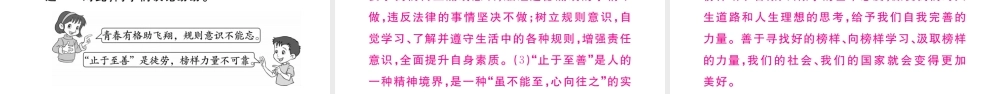 （河南专版）七年级道德与法治下册 第一单元 青春时光 第三课 青春的证明  第2框 青春有格习题课件 新人教版-新人教版初中七年级下册政治课件