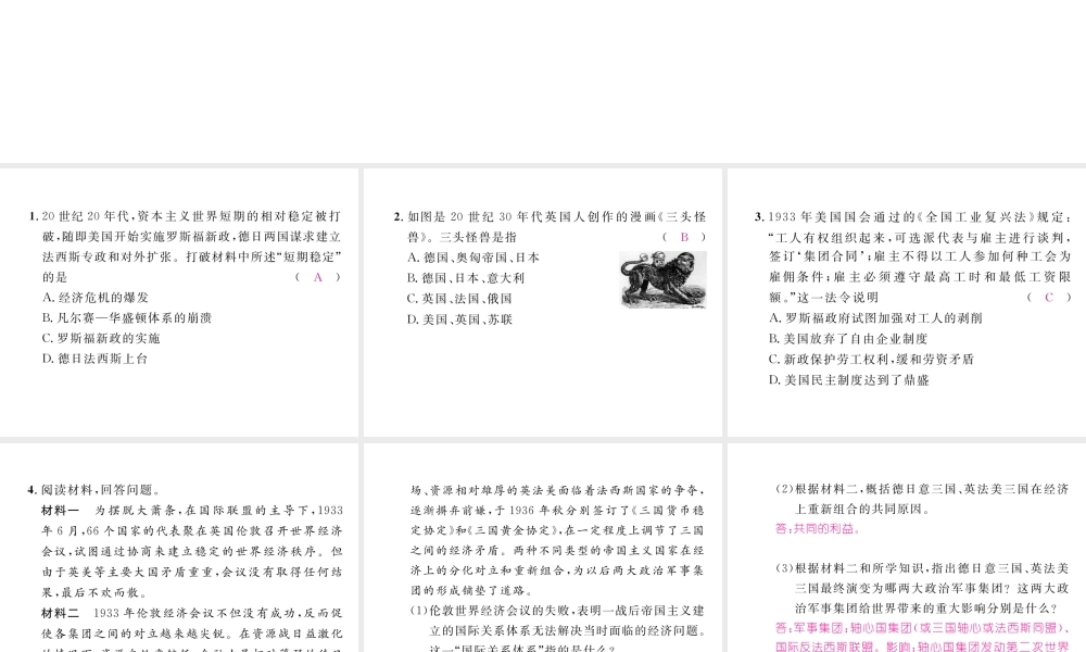 （河北专版）中考历史总复习 第19讲 凡尔赛—华盛顿体系下的世界命题强化练课件-人教版初中九年级全册历史课件