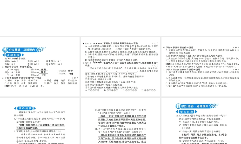 （河南专版）七年级语文上册 第二单元 第5课 秋天的怀念习题课件 新人教版-新人教版初中七年级上册语文课件