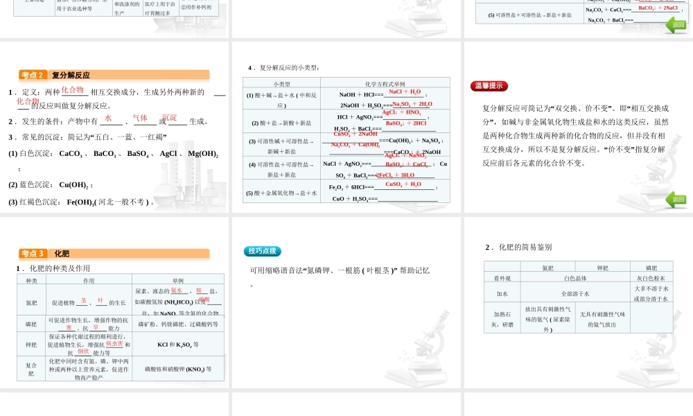 （河北专版）中考化学总复习 第1单元 身边的化学物质 第7讲 盐 化肥课件-人教版初中九年级全册化学课件