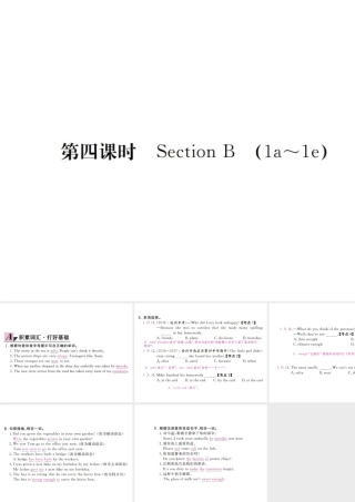 （河北专版）九年级英语全册 Unit 6 When was it invented（第4课时）习题课件 （新版）人教新目标版-（新版）人教新目标版初中九年级全册英语课件
