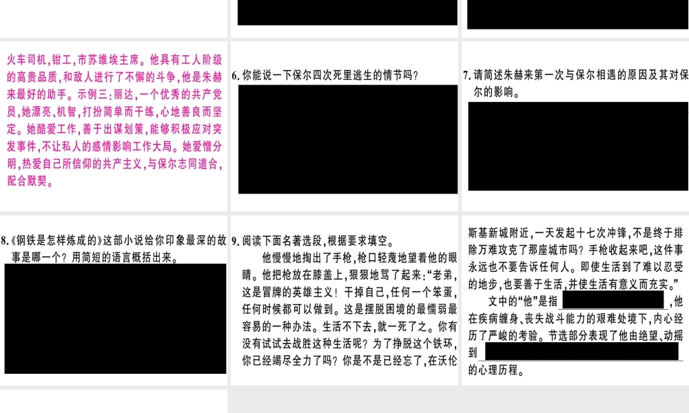 （河南专版）春八年级语文下册 期末专题复习五 名著阅读习题课件 新人教版-新人教版初中八年级下册语文课件