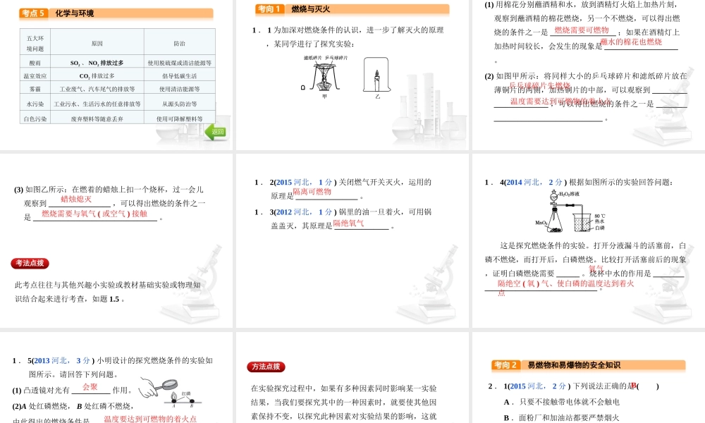 （河北专版）中考化学总复习 第4单元 化学与社会发展 第12讲 燃料及其应用课件-人教版初中九年级全册化学课件