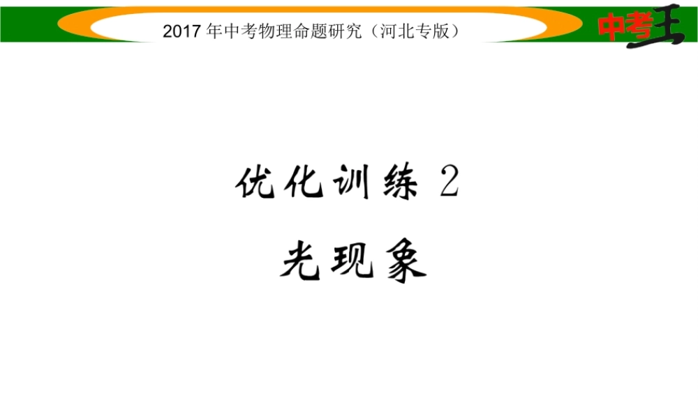 （河北专版）中考物理总复习 第一编 教材知识梳理 第二讲 光现象 优化训练2 光现象课件-人教版初中九年级全册物理课件