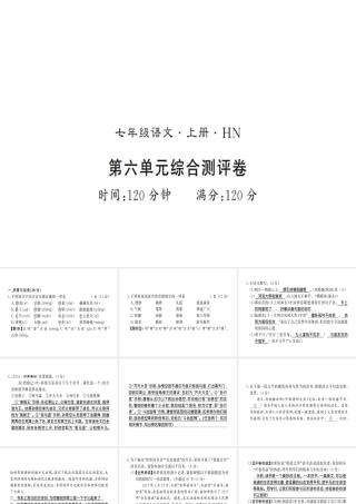 （河南专版）七年级语文上册 第六单元综合测评课件 新人教版-新人教版初中七年级上册语文课件