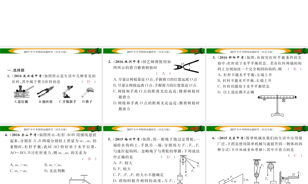 （河北专版）中考物理总复习 第一编 教材知识梳理 第九讲 简单机械 优化训练13 简单机械及其特点课件-人教版初中九年级全册物理课件