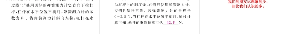 （河北专版）中考物理总复习 第一编 教材知识梳理 第九讲 简单机械 优化训练13 简单机械及其特点课件-人教版初中九年级全册物理课件