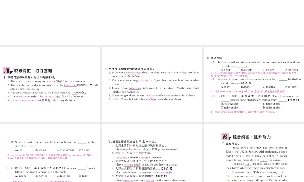 （河北专版）九年级英语全册 Unit 8 It must belong to Carla（第2课时）习题课件 （新版）人教新目标版-（新版）人教新目标版初中九年级全册英语课件