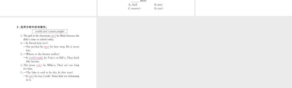 （河北专版）九年级英语全册 Unit 8 It must belong to Carla（第3课时）习题课件 （新版）人教新目标版-（新版）人教新目标版初中九年级全册英语课件
