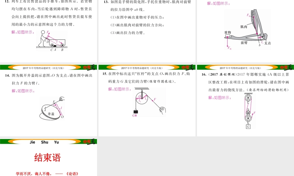 （河北专版）中考物理总复习 第一编 教材知识梳理 第九讲 简单机械 专项突破三课件-人教版初中九年级全册物理课件