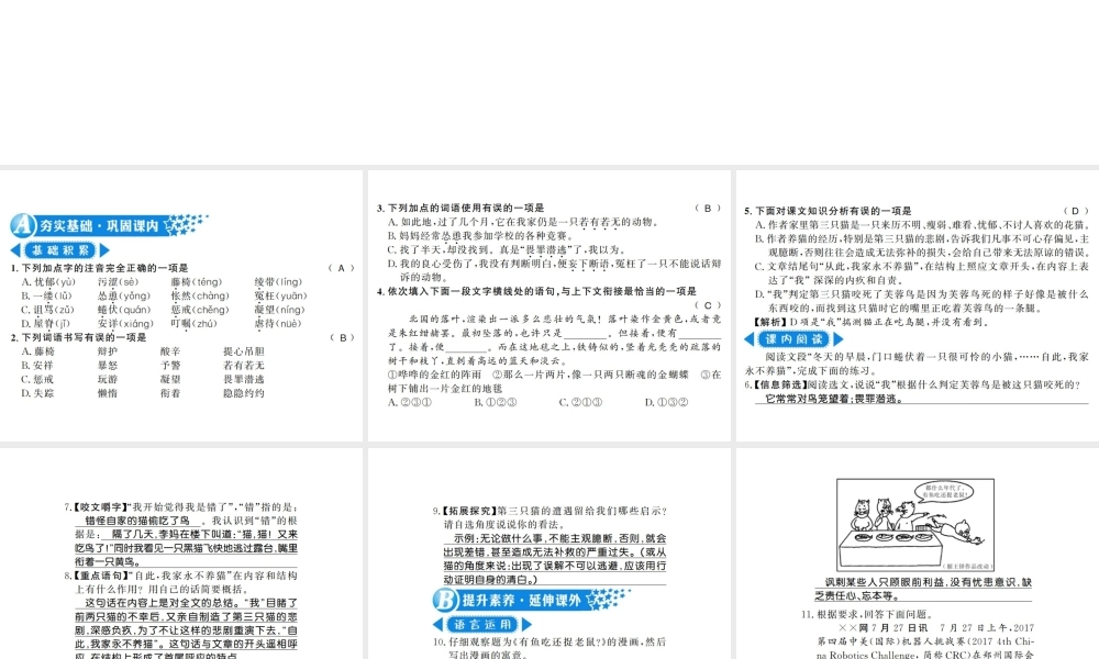 （河南专版）七年级语文上册 第五单元 第16课 猫习题课件 新人教版-新人教版初中七年级上册语文课件